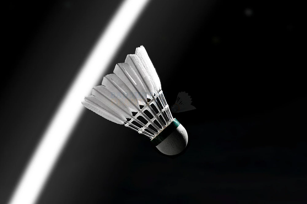 VICTOR New Carbonsonic NCS