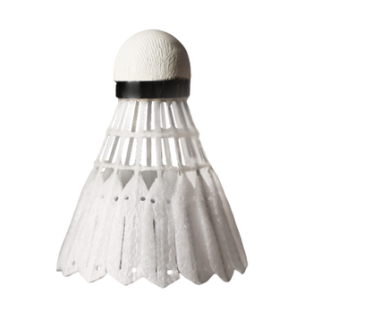 VICTOR New Carbonsonic NCS  PRO