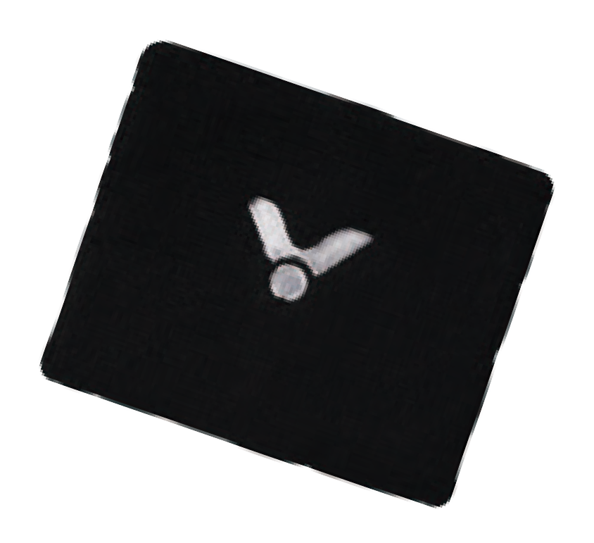 VICTOR Wristband SP123 C (black)